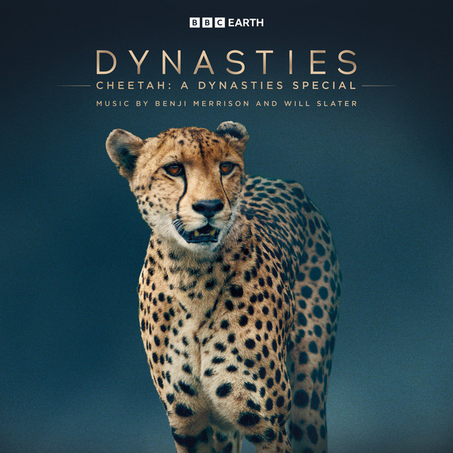 Cheetah: A Dynasties Special (Original Television Soundtrack) cover art