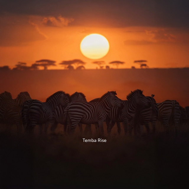 Dusk over Africa - Album by Temba Rise | Spotify