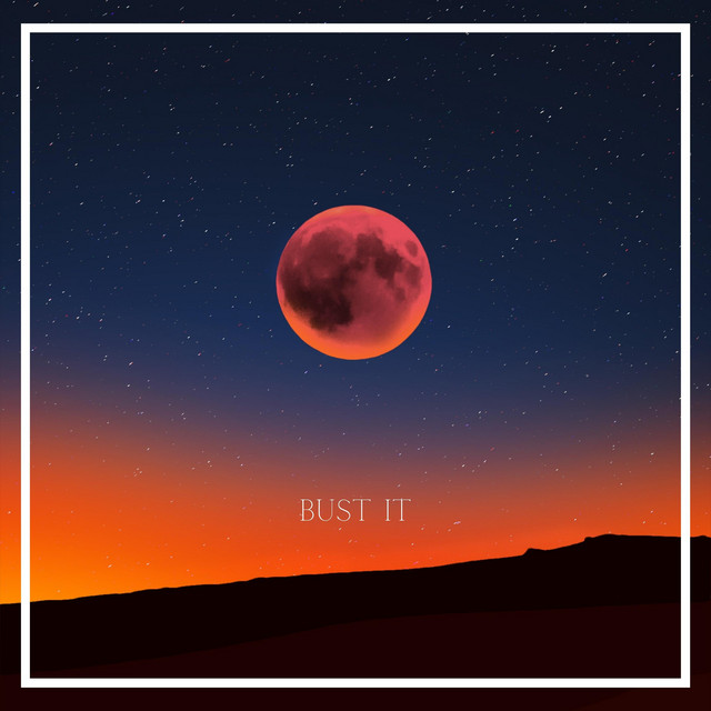 Bust it cover
