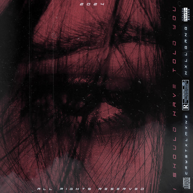 Обкладинка: I SHOULD HAVE TOLD YOU — CRYSTXLMXNE