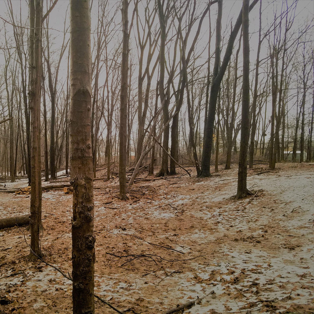 Extras cover art