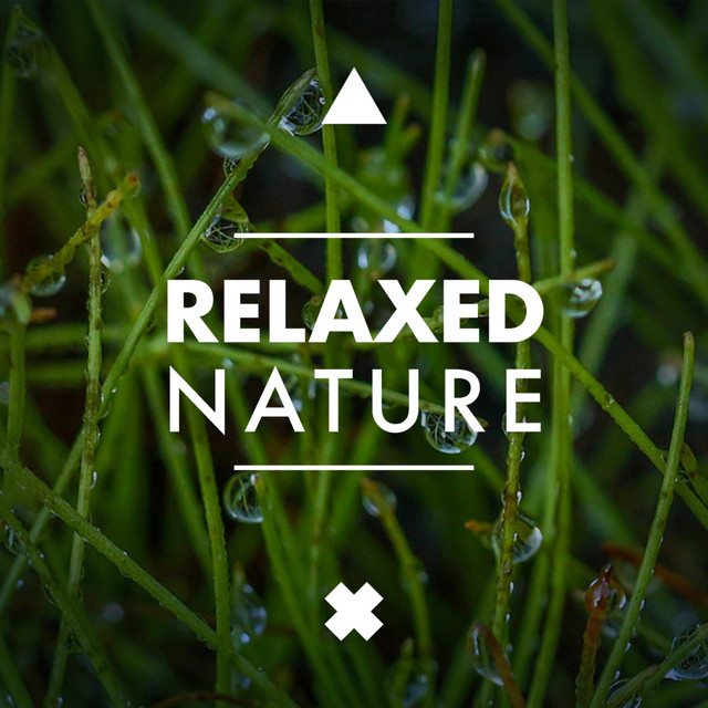 Soothing Sounds cover art