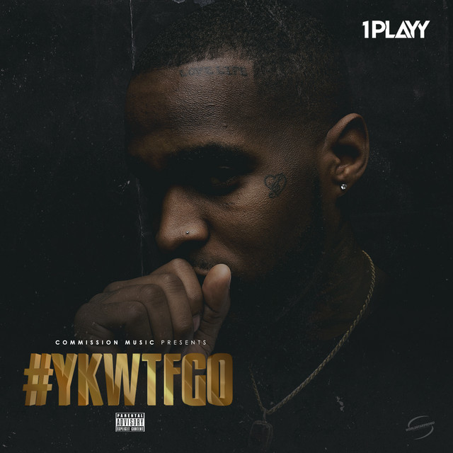 #YKWTFGO cover art