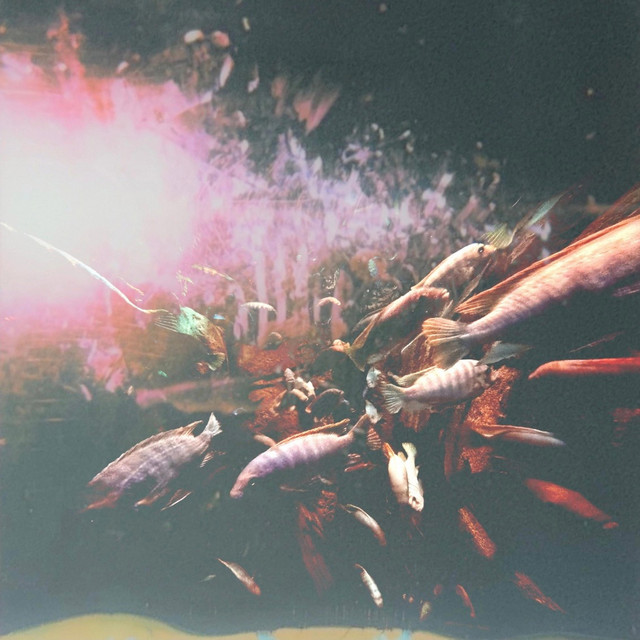 Stay cover art