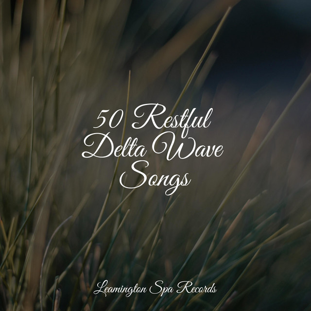 50 Restful Delta Wave Songs - Album by Egyptian Meditation Temple | Spotify