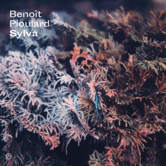 Sylva cover art