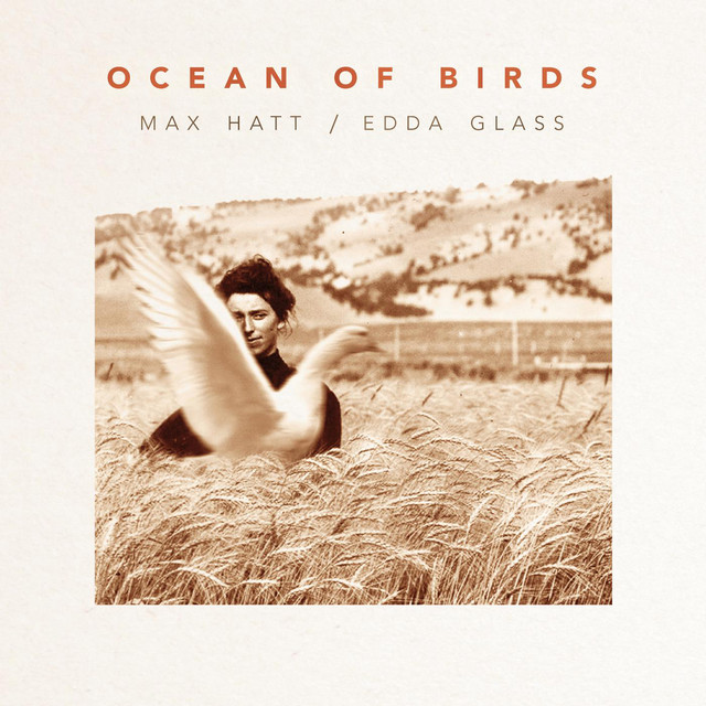 Ocean of Birds cover art