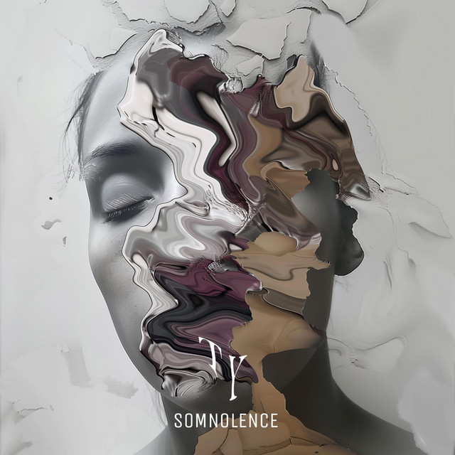 T Y - Somnolence