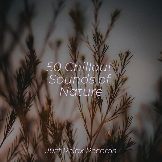 50 Chillout Sounds of Nature cover art