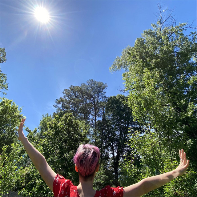 Sunshine cover art