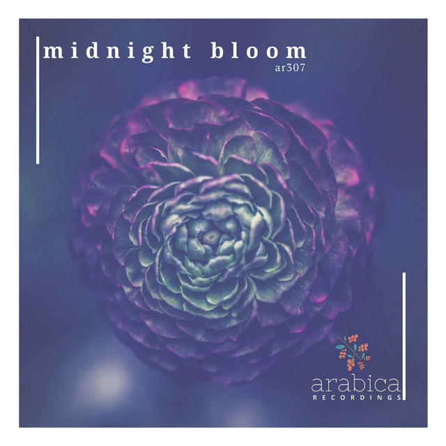 Midnight Bloom cover