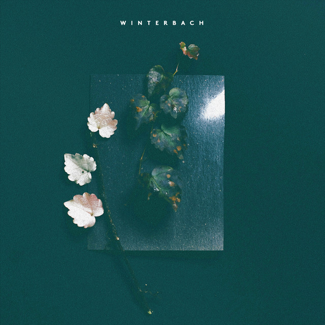 Andreas Winterbach