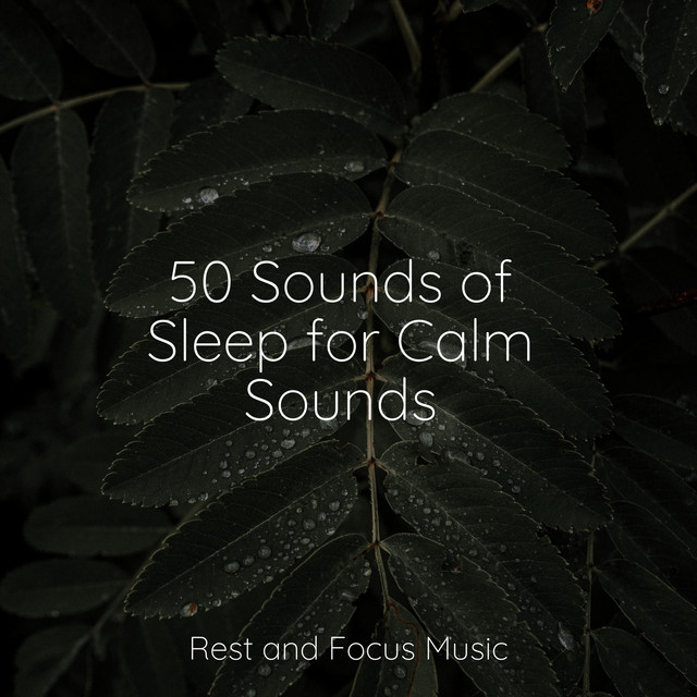 50 Sounds of Sleep for Calm Sounds - Album by Música relaxante | Spotify