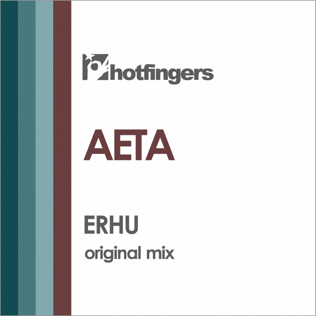 Erhu cover
