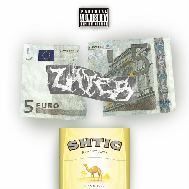 Shtic - Single by Zayeb | Spotify