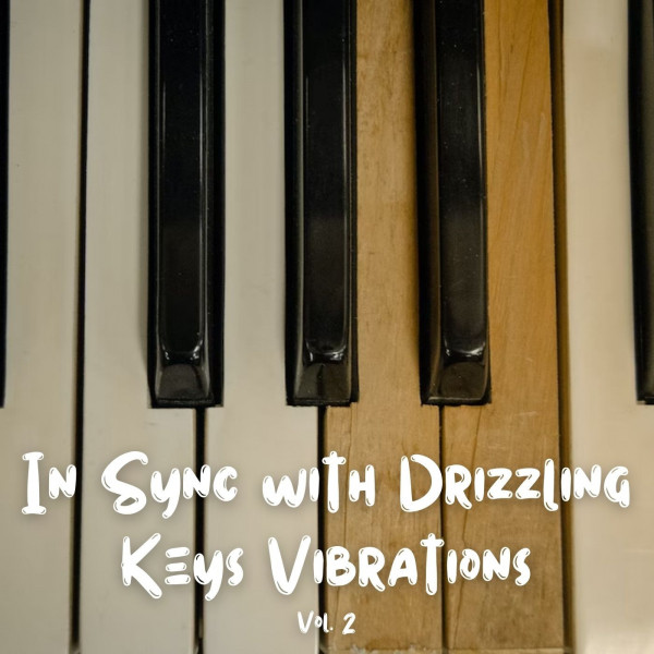 In Sync with Drizzling Keys Vibrations Vol. 2 cover art