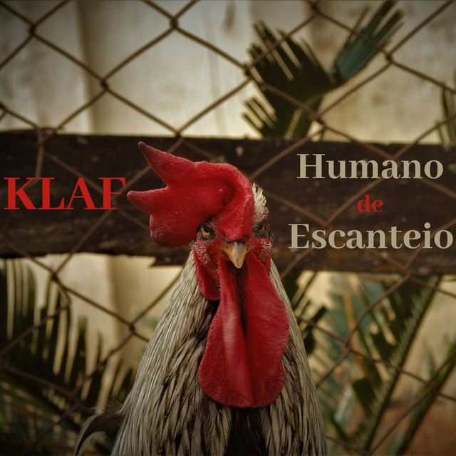 Humano de Escanteio cover art