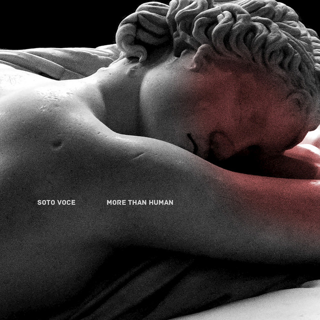 More Than Human cover
