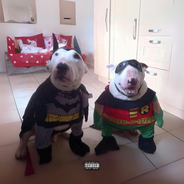 BATMAN AND ROBIN