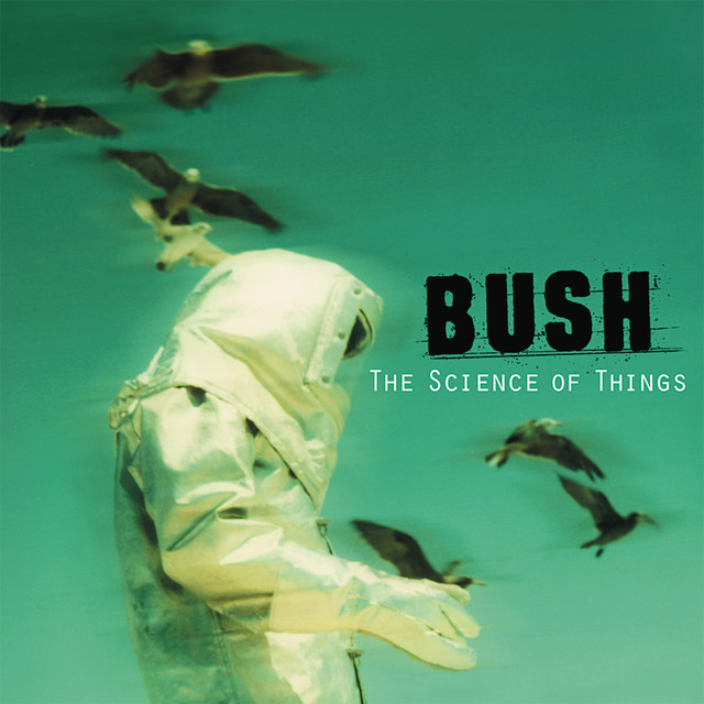 Letting the Cables Sleep - Bush