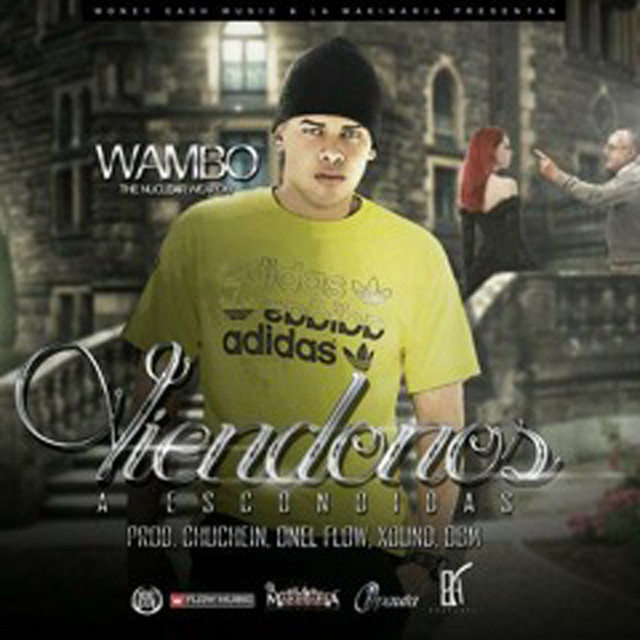 Viéndonos a Escondidas