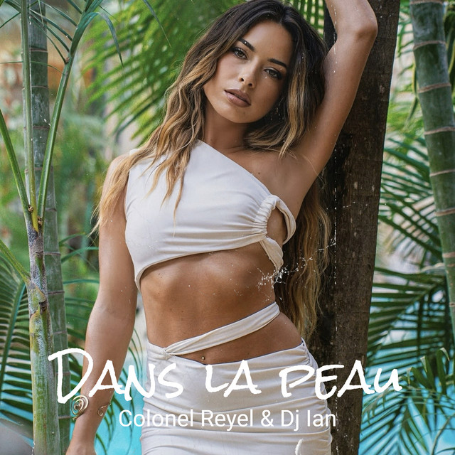 Cover du titre Dans la peau