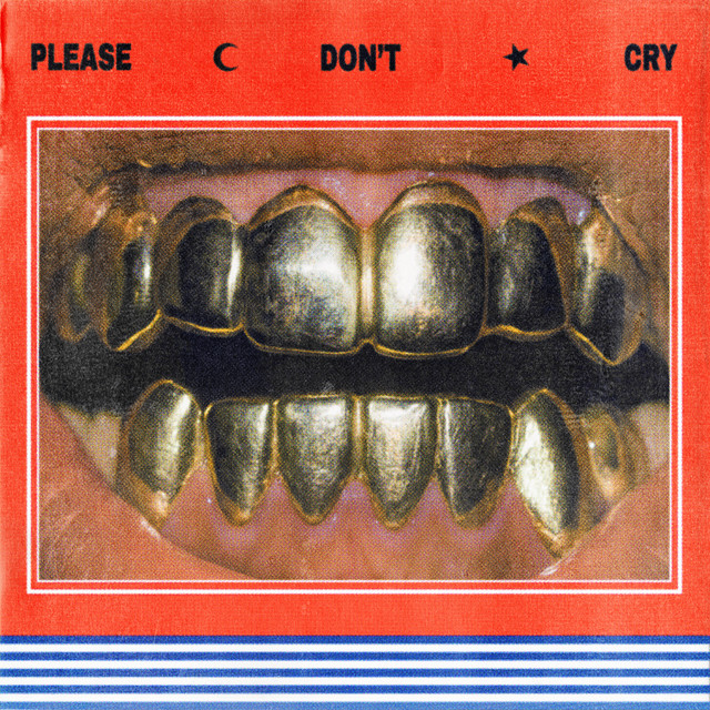Please Don't Cry cover art