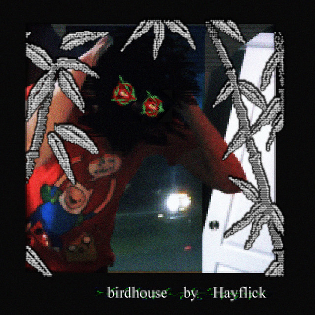 birdhouse cover art