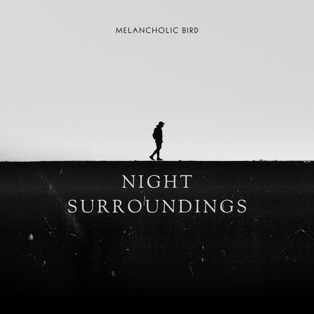 Обкладинка: Night Surroundings — Melancholic Bird