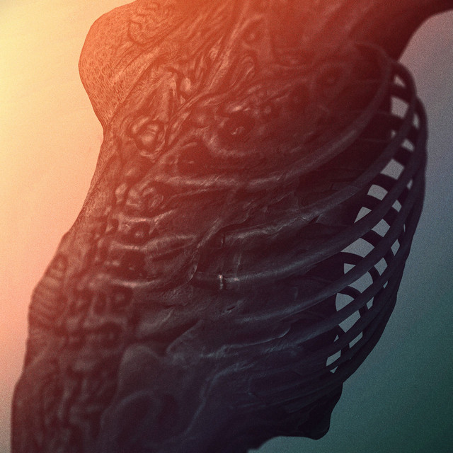 14 Lives cover art