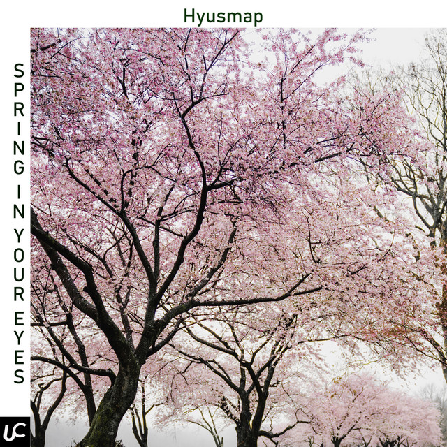 Hyusmap