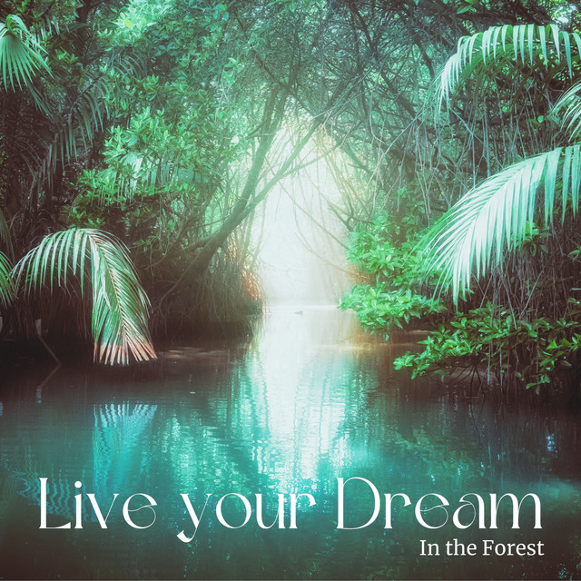 Live your Dream in the Forest cover