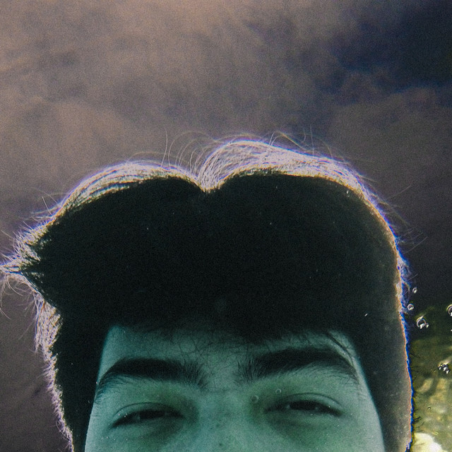 Patagonia cover art