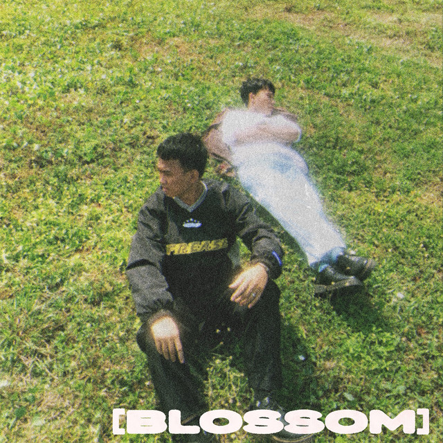 Blossom cover art