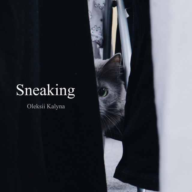 Обкладинка: Sneaking — Oleksii Kalyna