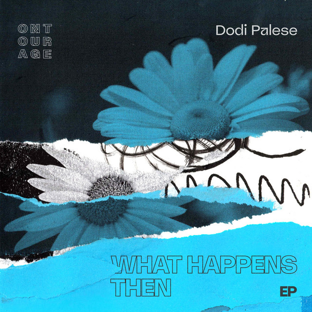 dodi palese - you can't hide cover