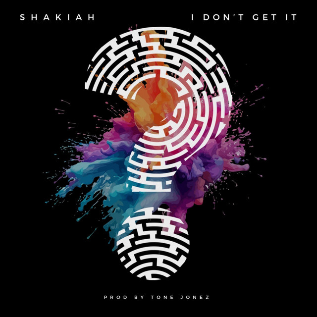 I Don't Get It cover