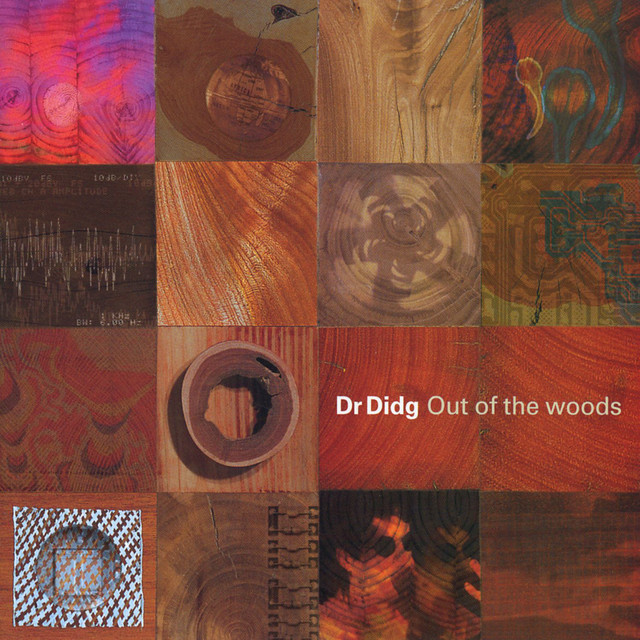 Out Of The Woods cover