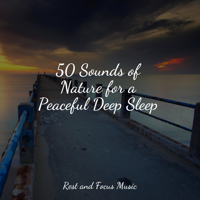 50 Sounds of Nature for a Peaceful Deep Sleep - Album by Spa Zen | Spotify