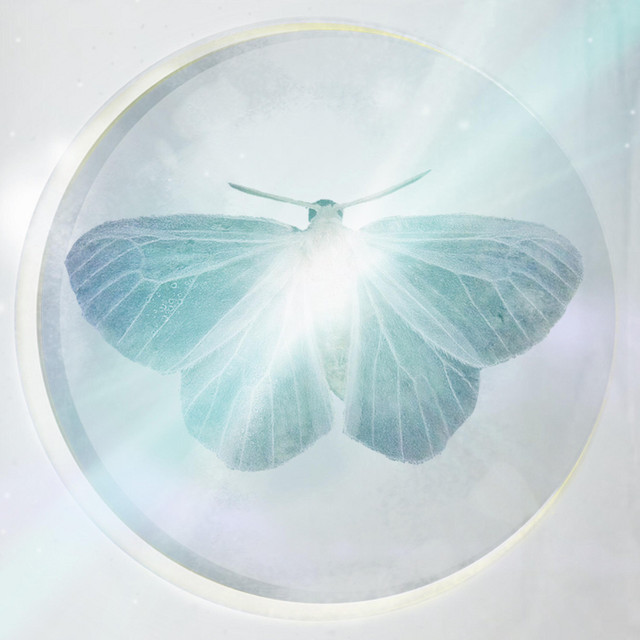 Felicity cover art