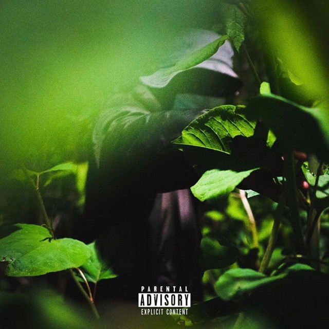 Channel 1 (Deluxe) cover art