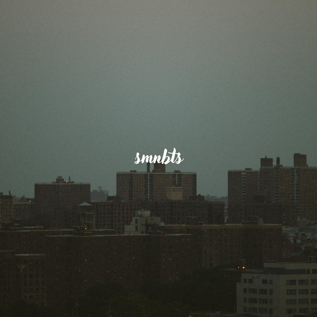 Обкладинка: I'm Alone — smnbts