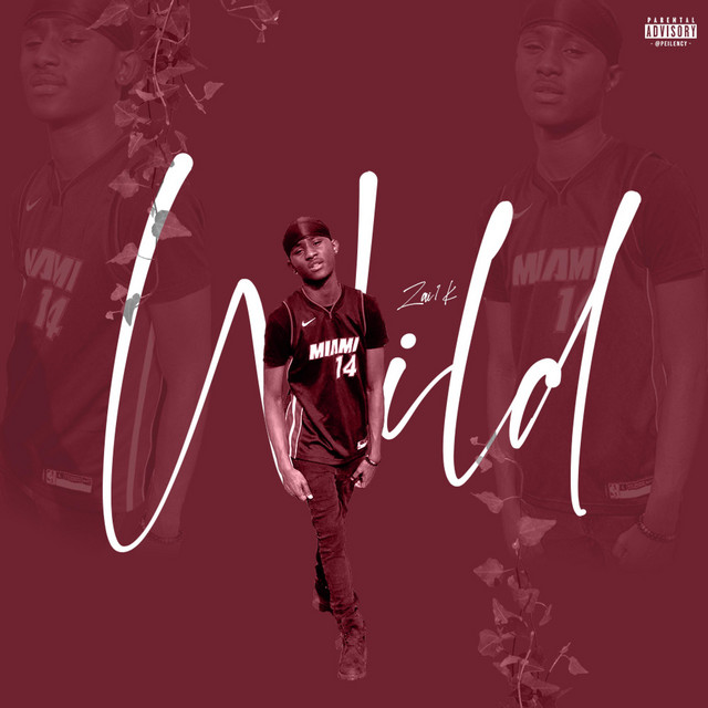 Wild cover art