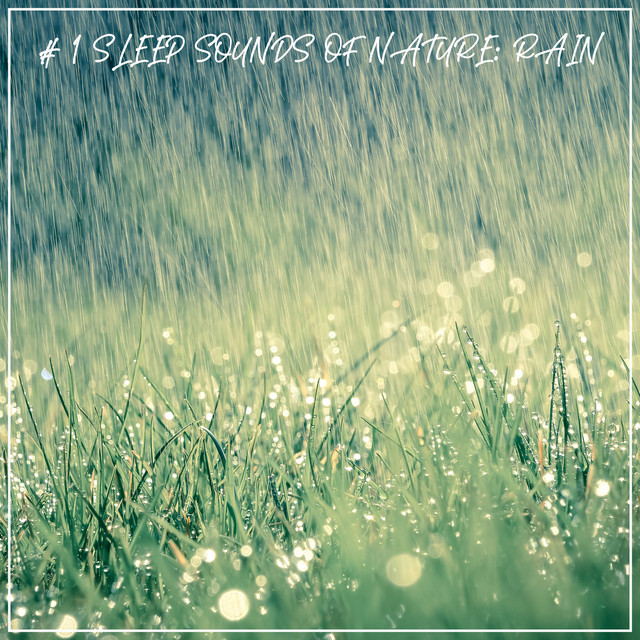 # 1 Sleep Sounds of Nature: Rain - Album by Sleep Sounds of Nature ...