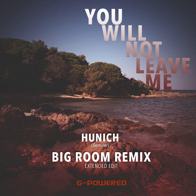 You Will Not Leave Me (Big Room Remix) [Extended Edit]