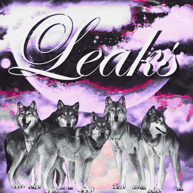 LEAKS