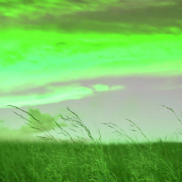 Feelings for Nature Hours cover art