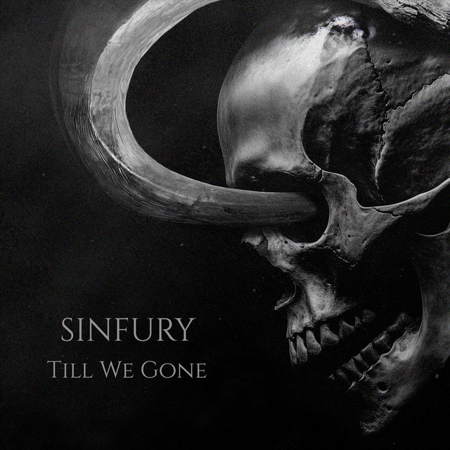 Обкладинка: You Are My Prey — Sinfury