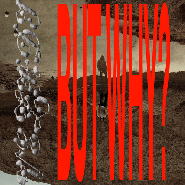 BUT WHY? cover art