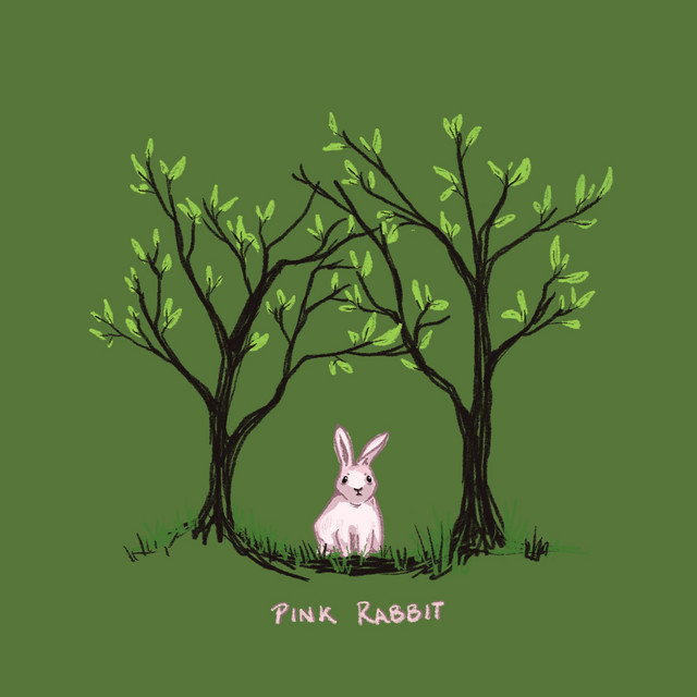 Pochette du titre Pink Rabbit